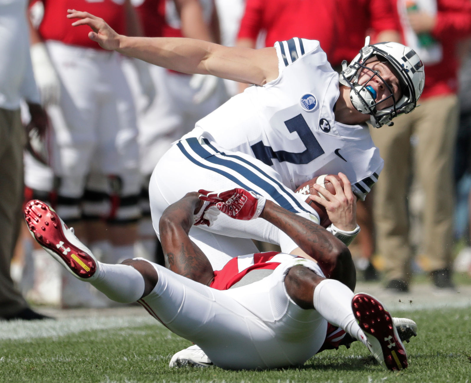 Badgers vs. Cougars